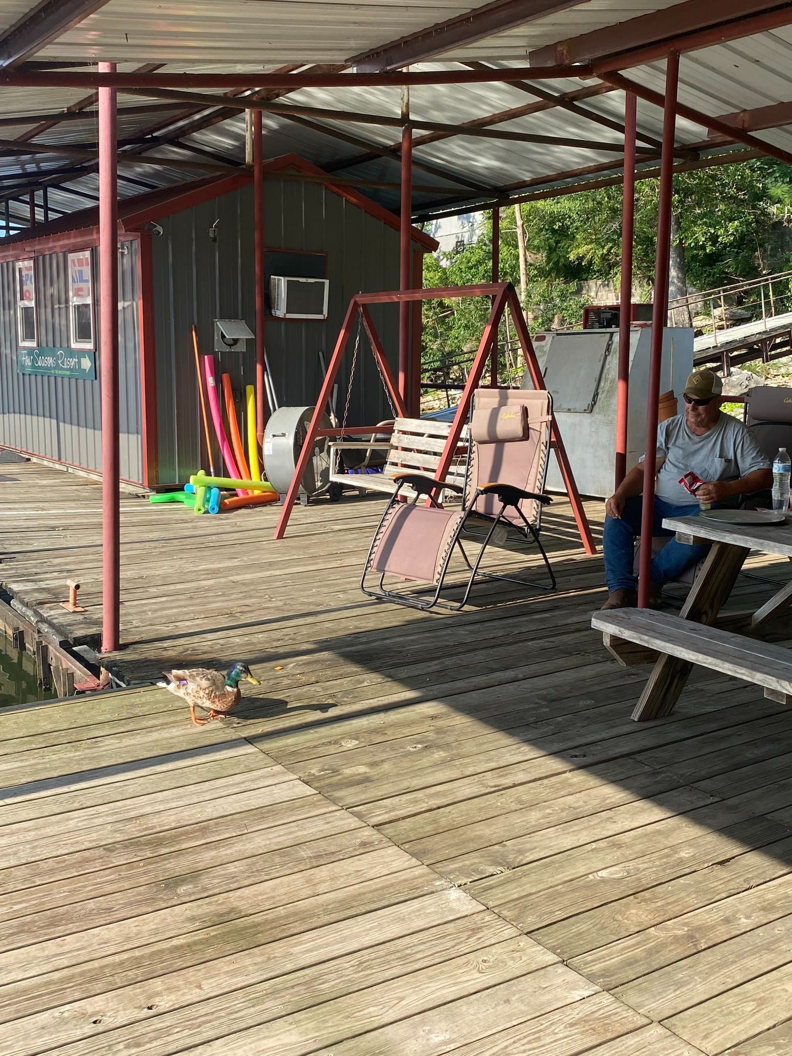 Covered dock seating area with a duck wandering through