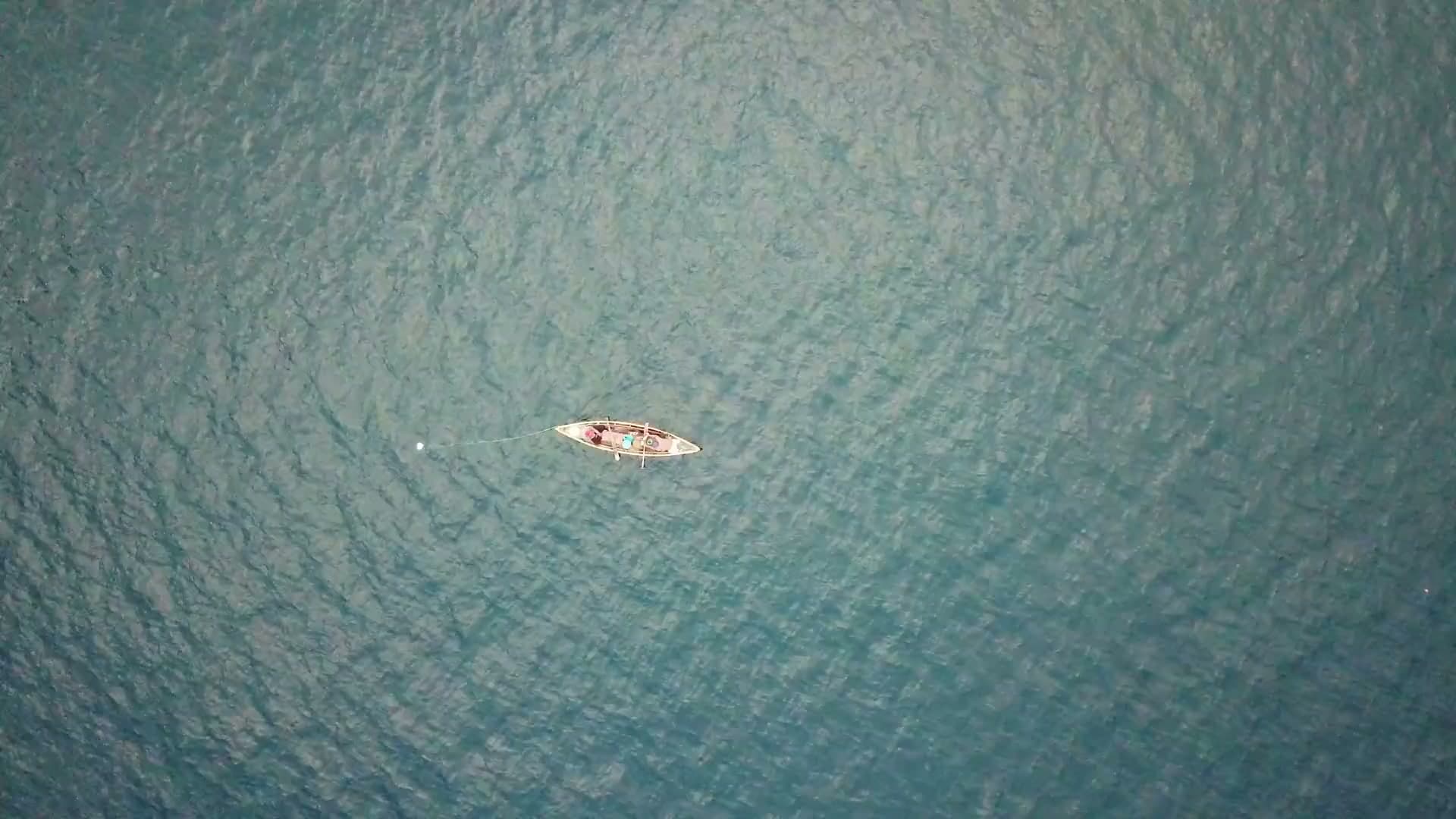 Aerial view of the cove and dock on the Elk River arm